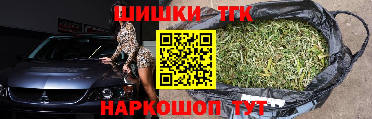 Конопля сатива Кушва